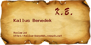 Kallus Benedek névjegykártya